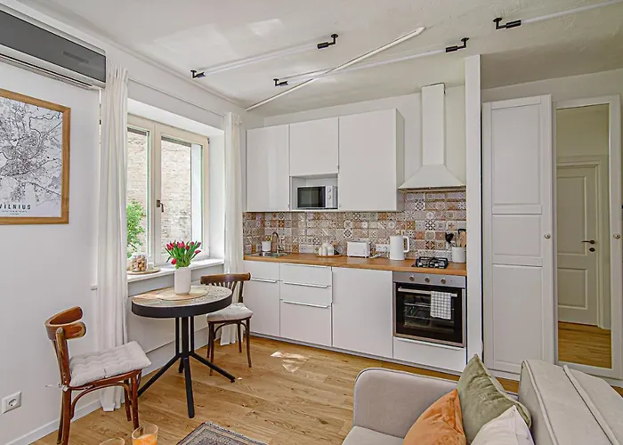 Cozy In The Heart Of Old Town ヴィリニュス