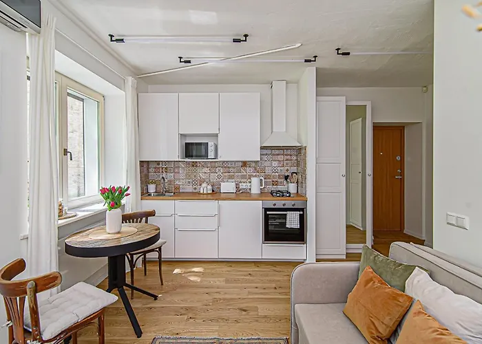 Cozy In The Heart Of Old Town * ヴィリニュス